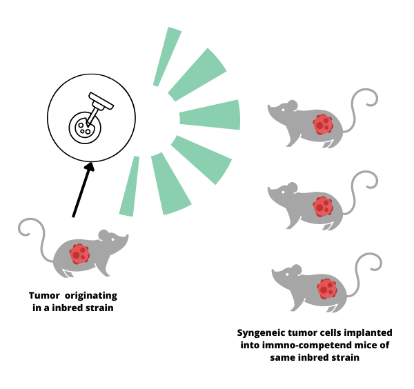 Syngeneic Models