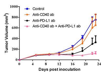 A375 human melanoma cancer cells