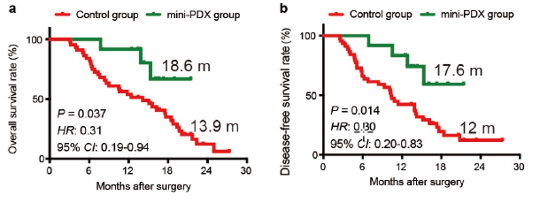 Fig. 5 OS and DFS for MiniPDX® guided therapy vs. control group receiving conventional treatment.