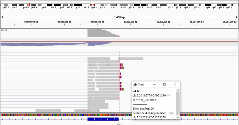 Fig. EML4-ALK fusion example detected by K-Cell RNA-seq