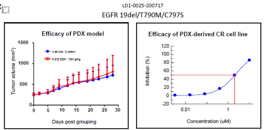 Fig. Efficacy results of LD1-0025-200717. IC50 of CR cell line was 2.01, indicating drug insensitivity, as expected and matching result of PDX model