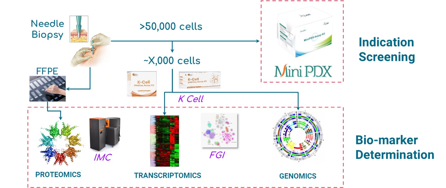 Fig. LIDE Functional Diagnosis platform offering indication screening and bio-marker determination.