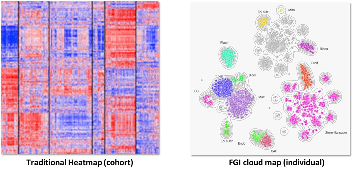 Fig. Traditional heatmaps conveying gene expression can be difficult to interpret vs. FGI cloud maps that group expression data by functional units.