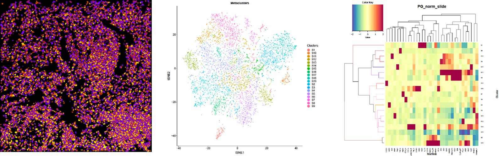 IMC advancements is that single-cell features 