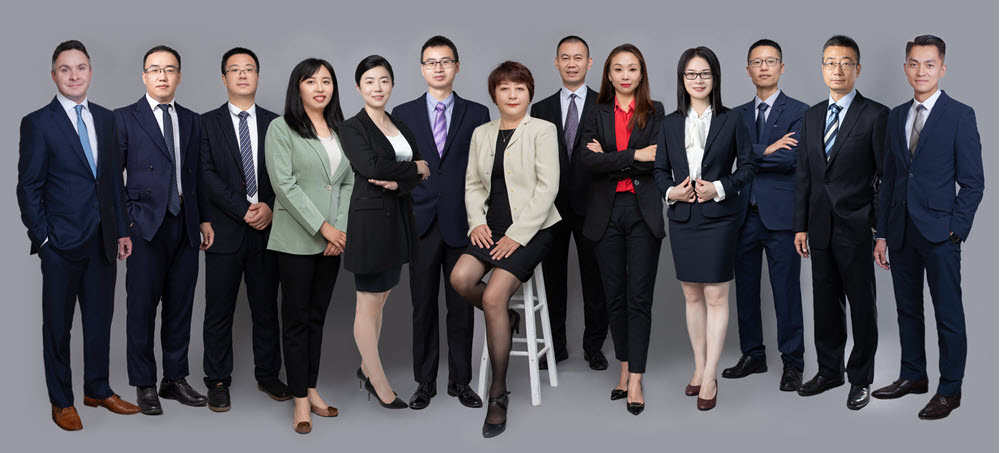 CEO Dr. Danyi Wen and LIDE Management Team