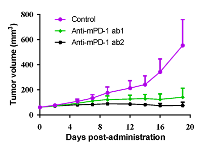 Murine-humanized syngeneic models for ab prove of conception