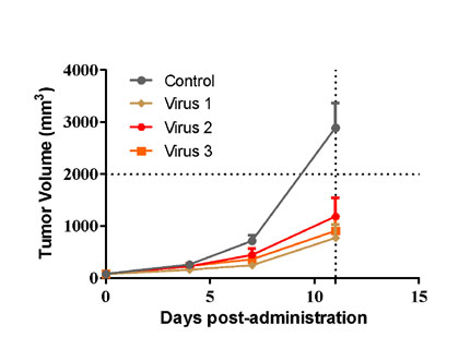 Oncolytic-Virus-Graphs_1