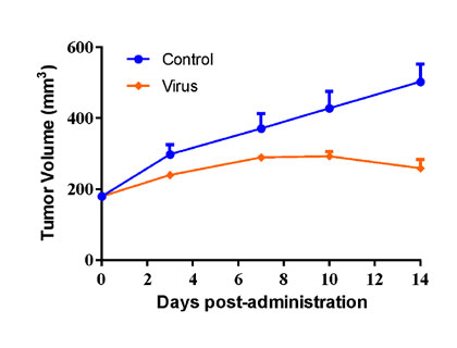 Oncolytic-Virus-Graphs_4