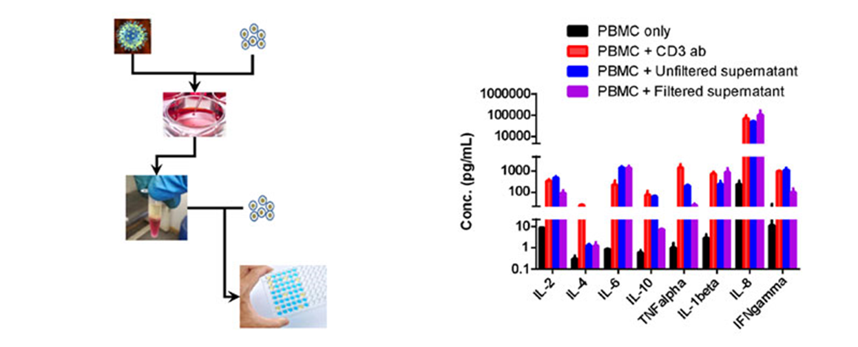 Oncolytic virus in vitro assay