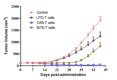 SK-OV-3 human ovarian cancer cells