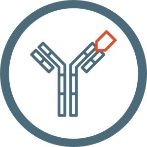 Antibody Icon